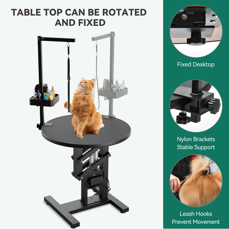 Edrosie Inc Electric Lift Dog Grooming Table Wayfair